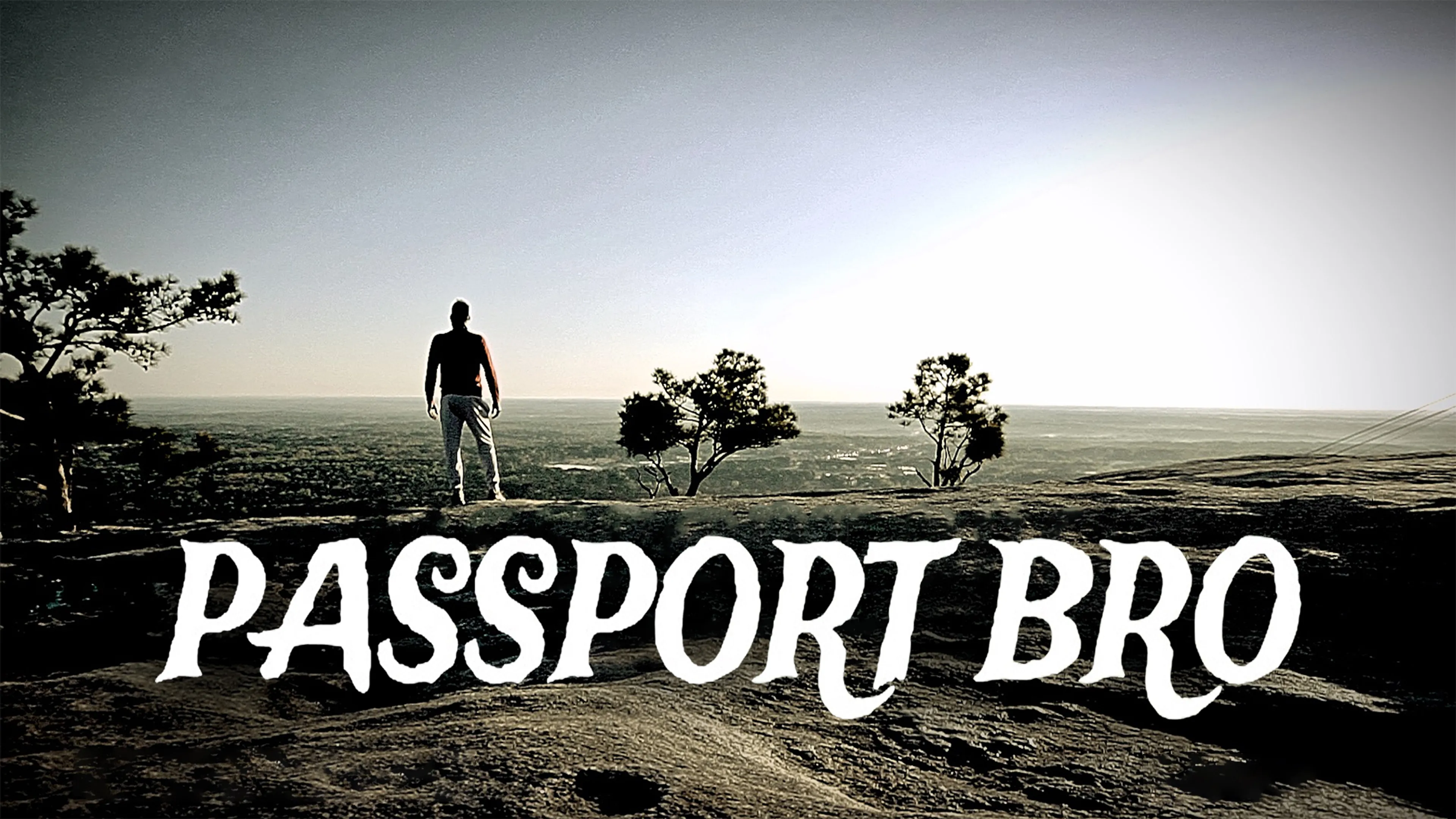 Passport Bro poster